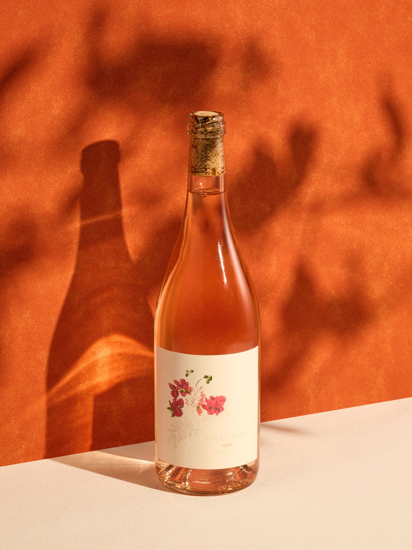 Botanica | Big Flower Rose 2025