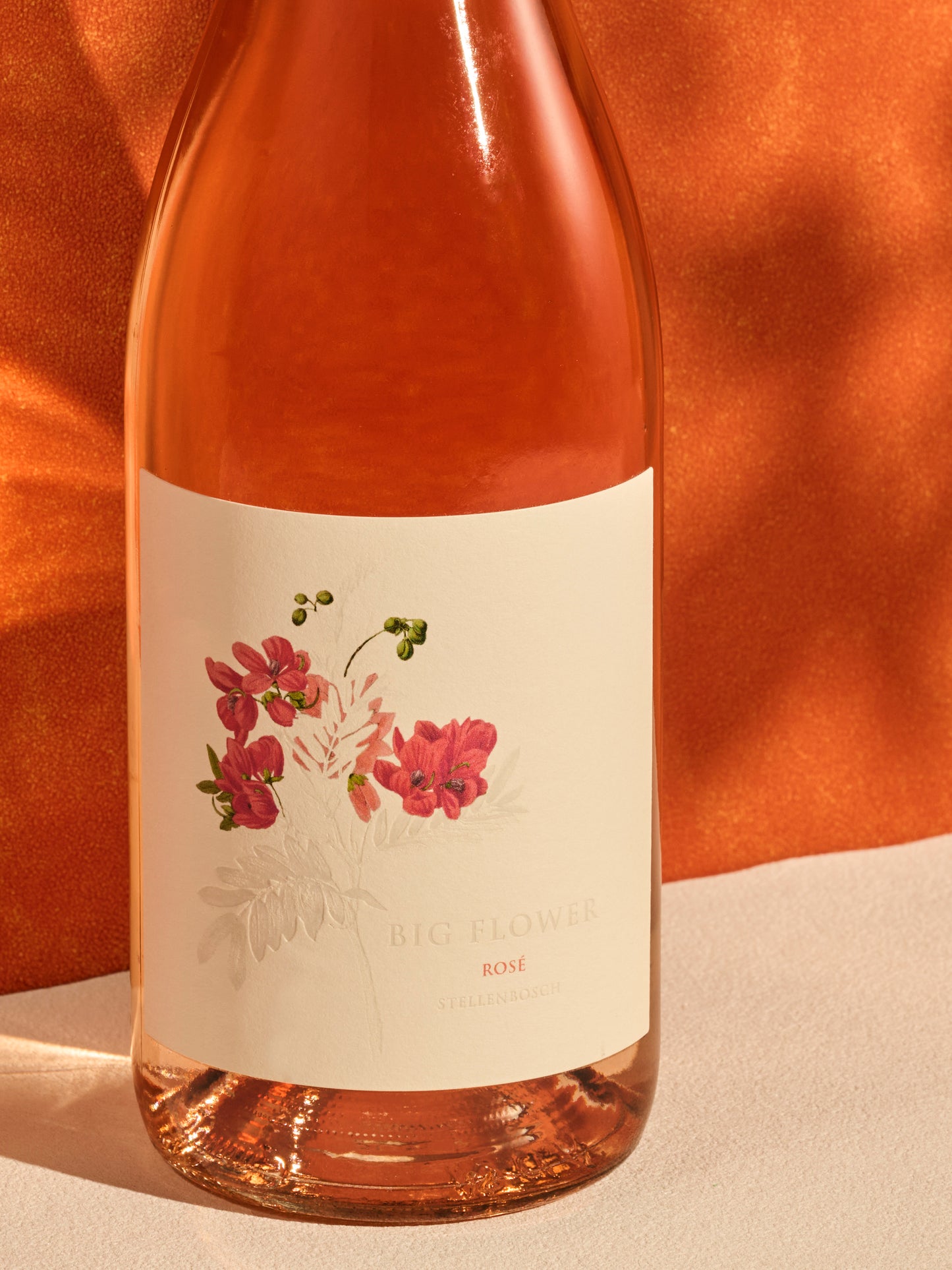 Botanica | Big Flower Rose 2025